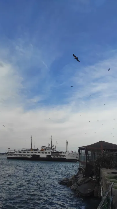 Çoklu paylaşım