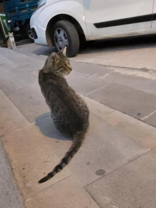 Anın Fotoğrafı