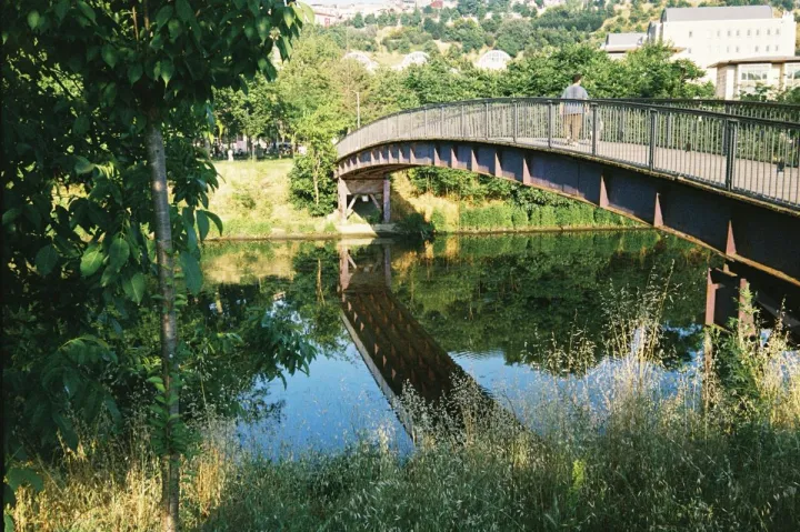 Anın Fotoğrafı