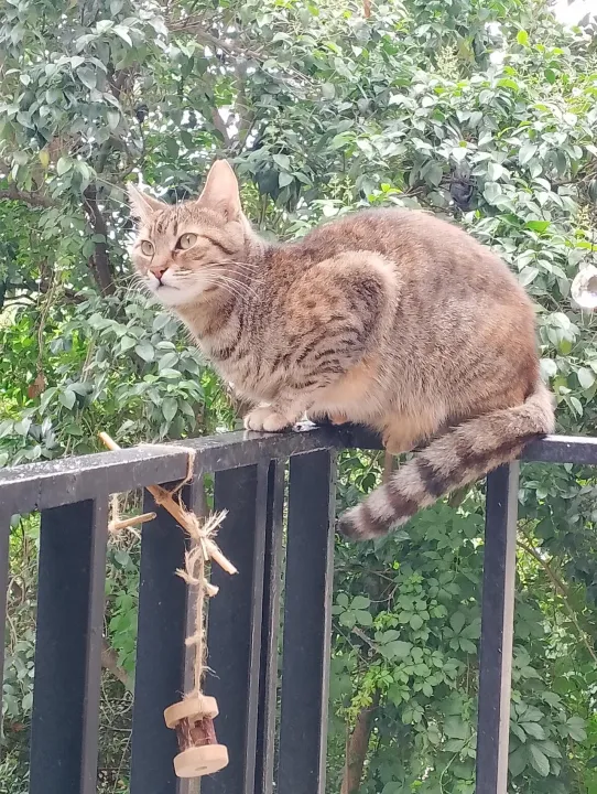 Anın Fotoğrafı