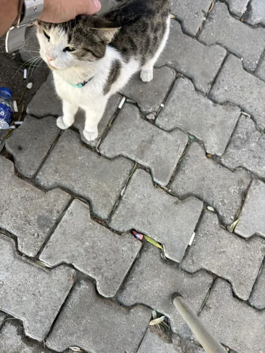 Anın Fotoğrafı