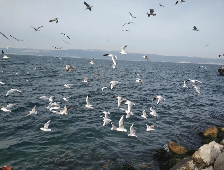 Anın Fotoğrafı