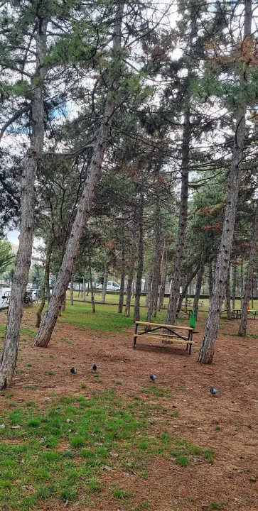 Anın Fotoğrafı