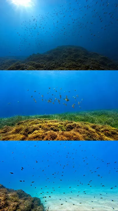 Anın Fotoğrafı