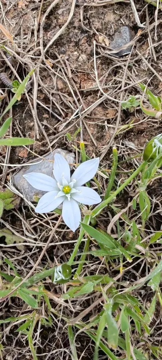 Anın Fotoğrafı